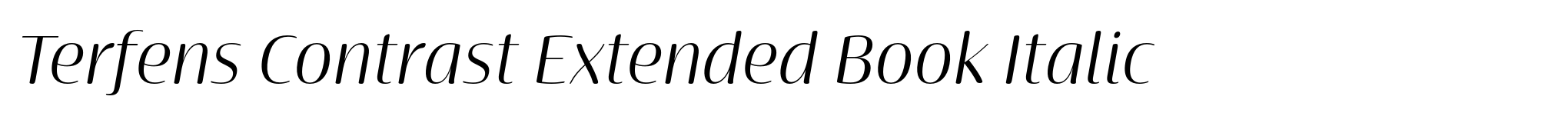 Terfens Contrast Extended Book Italic image